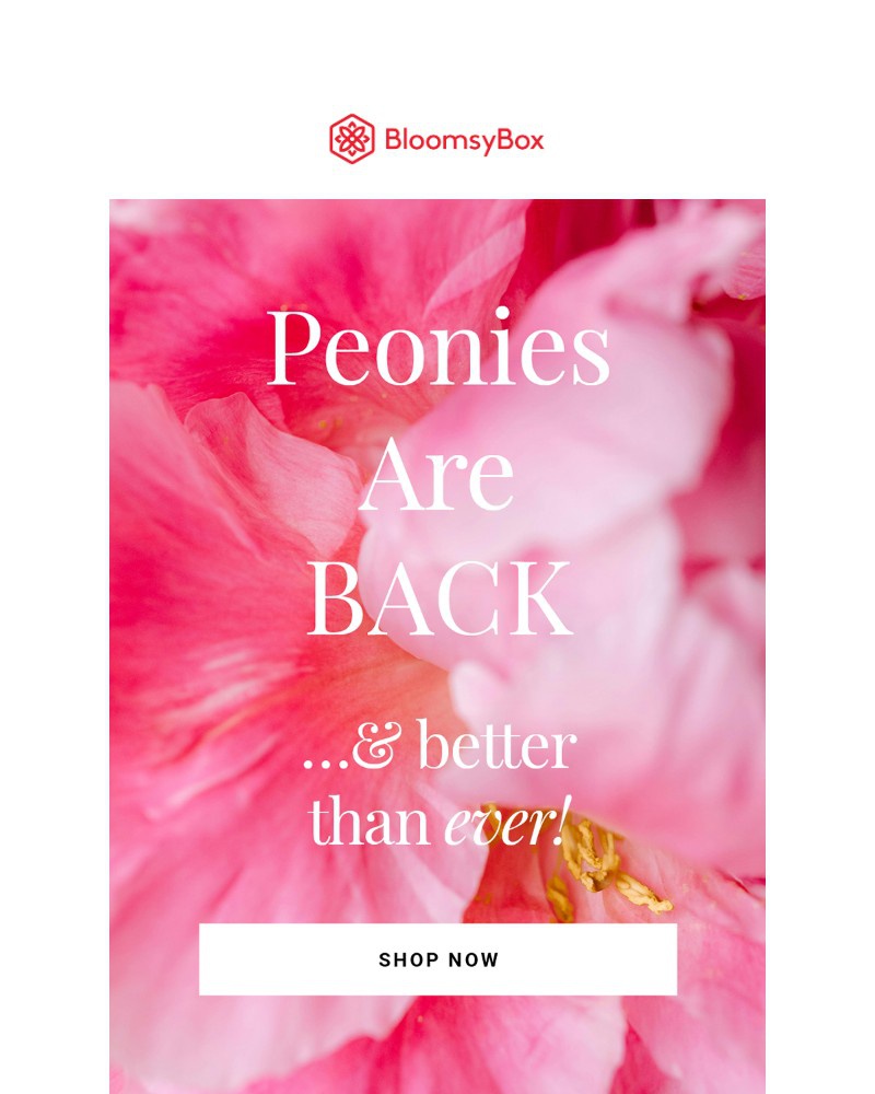 Screenshot of email with subject /media/emails/peonies-are-back-262bf8-cropped-d7605bbb.jpg
