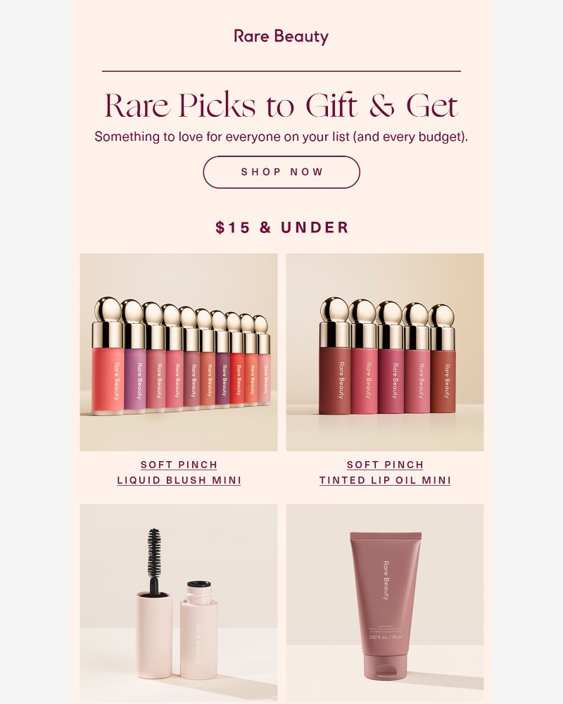 Screenshot of email with subject /media/emails/perfect-picks-at-every-price-point-6667c6-cropped-32d522c7.jpg