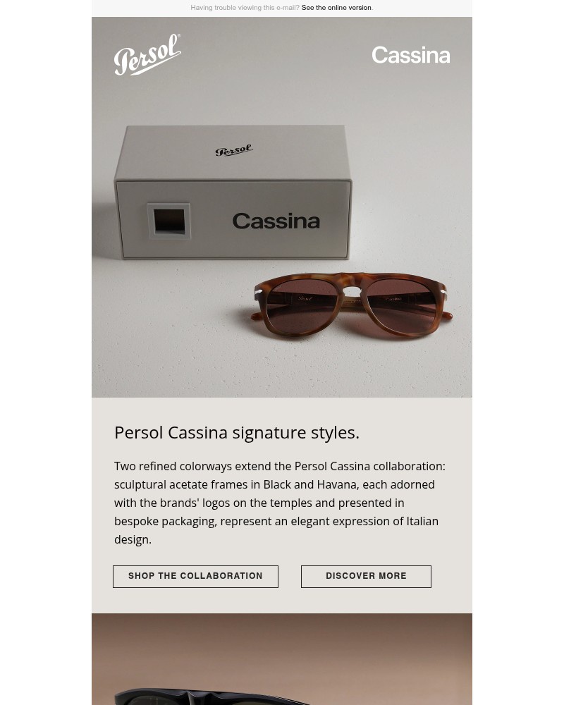 Screenshot of email sent to a Persol Newsletter subscriber