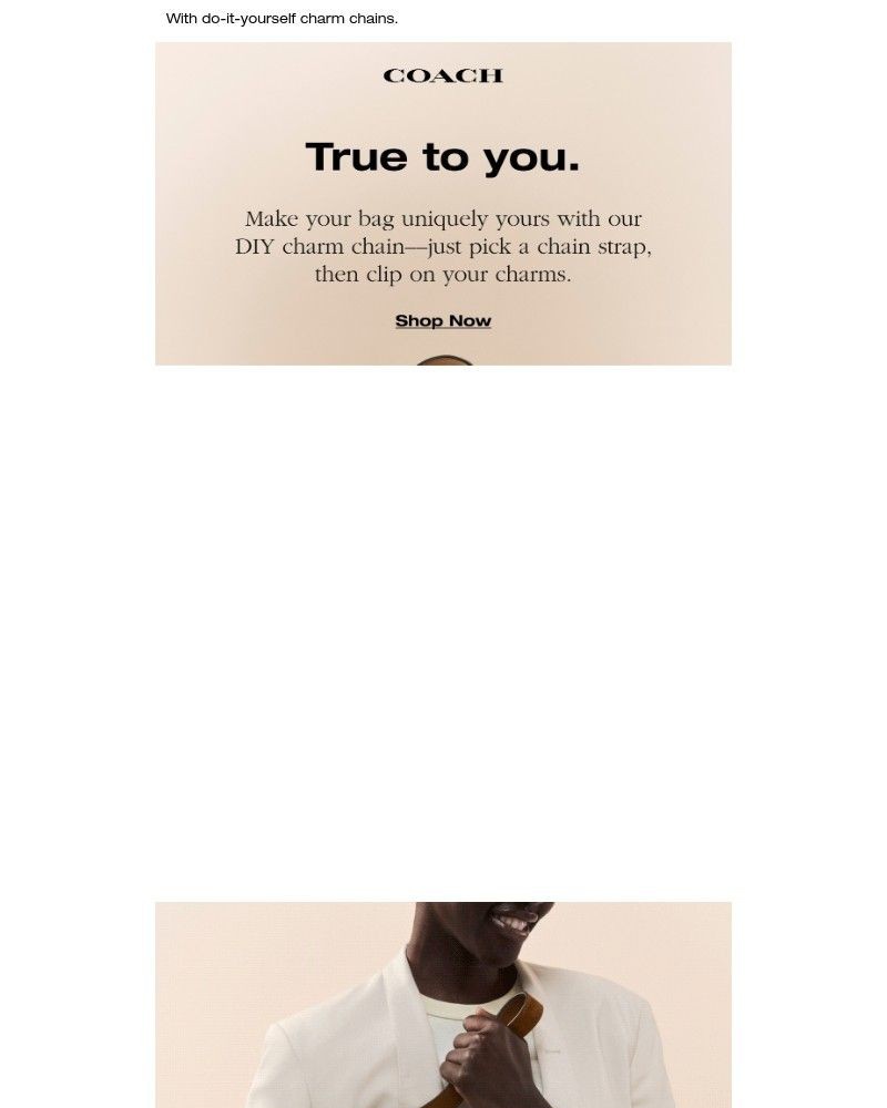 Screenshot of email with subject /media/emails/personalize-your-bag-2976b0-cropped-445f73fd.jpg
