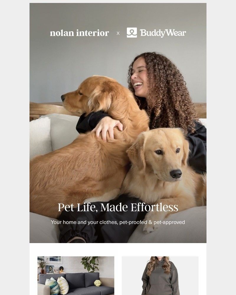 Screenshot of email with subject /media/emails/pet-friendly-duo-you-didnt-know-you-needed-c5ef42-cropped-fdf59955.jpg