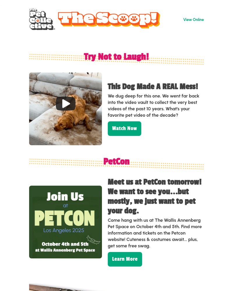 Screenshot of email with subject /media/emails/petcon-is-back-can-you-come-say-hi-e77733-cropped-3579d79f.jpg