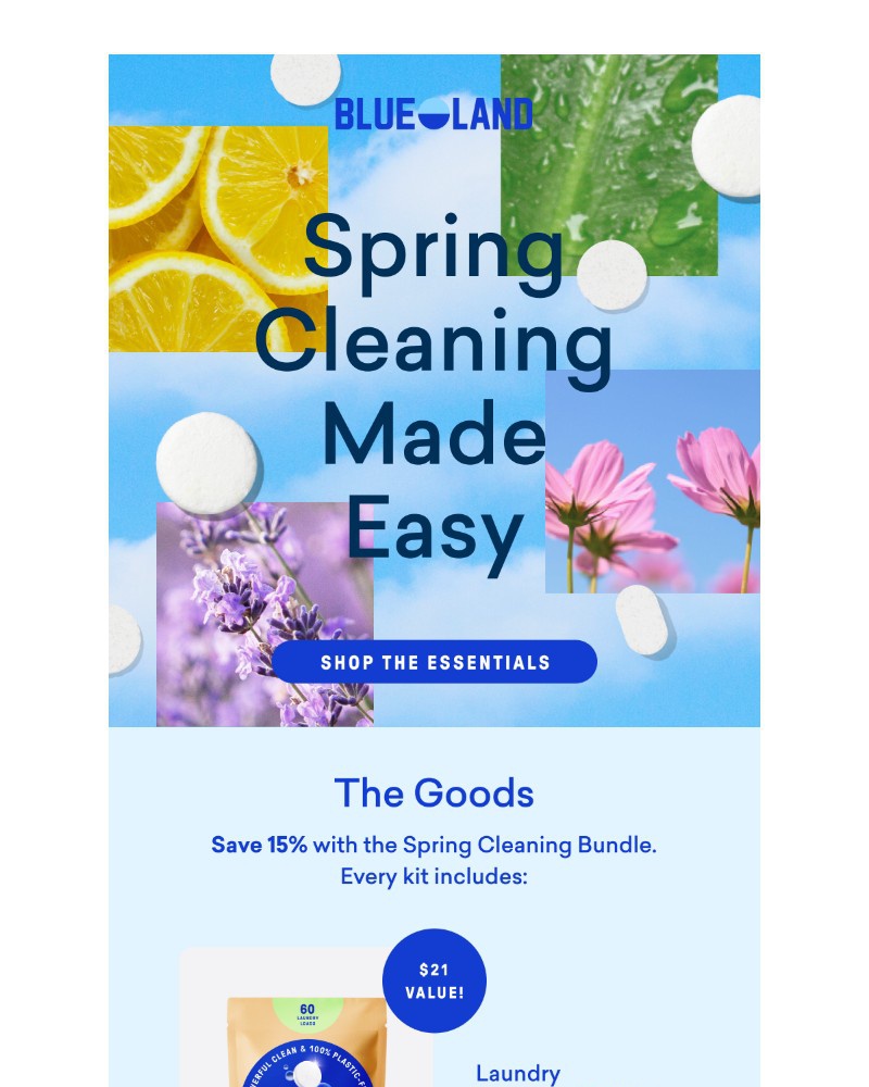 Screenshot of email with subject /media/emails/petition-to-simplify-spring-cleaning-5aba0a-cropped-e0a6952e.jpg