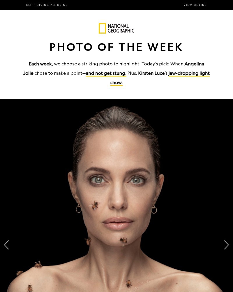 Screenshot of email with subject /media/emails/photo-of-the-week-angelina-jolie-and-60000-bees-plus-whats-the-story-behind-these_wvRdK4B.jpg