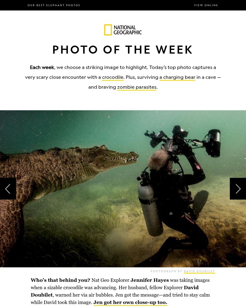Screenshot of email with subject /media/emails/photo-of-the-week-we-captured-these-scary-animal-encounters-2ee58a-cropped-f3646a1b.jpg