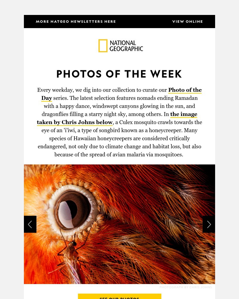 Screenshot of email with subject /media/emails/photos-of-the-week-21-stunning-nat-geo-pictures-that-will-take-your-breath-away-2_ReWzztl.jpg