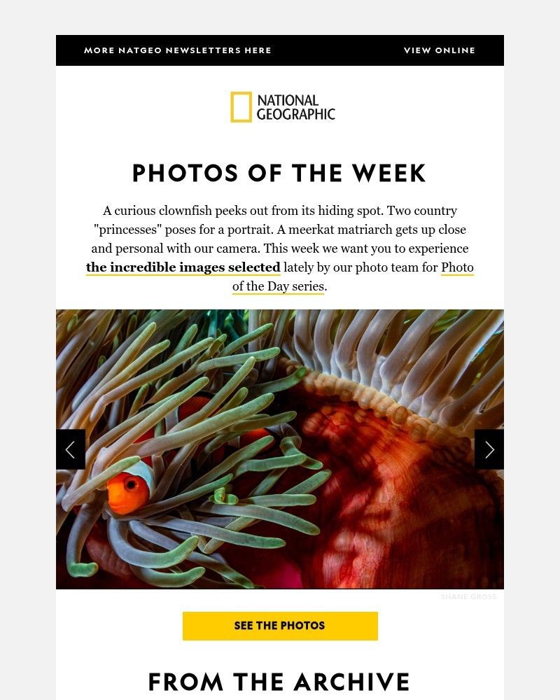 Screenshot of email with subject /media/emails/photos-of-the-week-22-breathtaking-nat-geo-pictures-that-will-spark-your-curiosit_psPQSbs.jpg