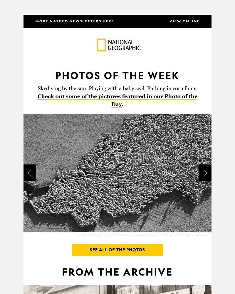 Screenshot of email with subject /media/emails/photos-of-the-week-23-pictures-nat-geos-photo-editors-loved-most-this-month-21a30_kz2ZdBe.jpg
