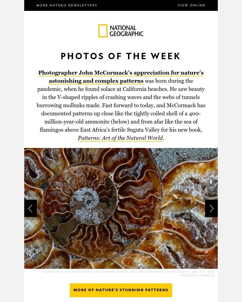 Screenshot of email with subject /media/emails/photos-of-the-week-a-hypnotizing-400-million-year-old-fossil-335ee0-cropped-8a3debad.jpg