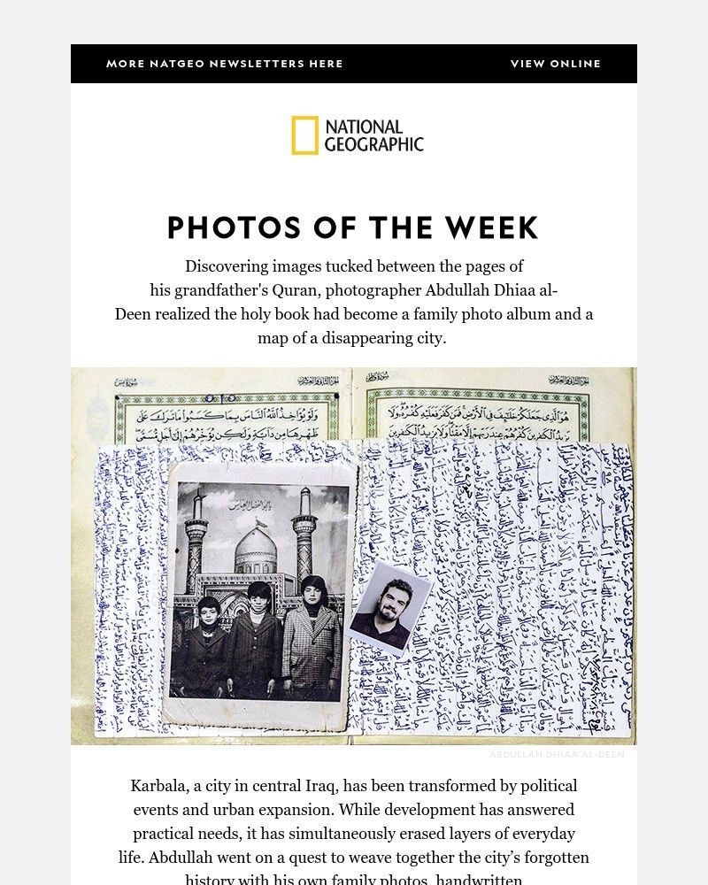 Screenshot of email sent to a National Geographic Newsletter subscriber