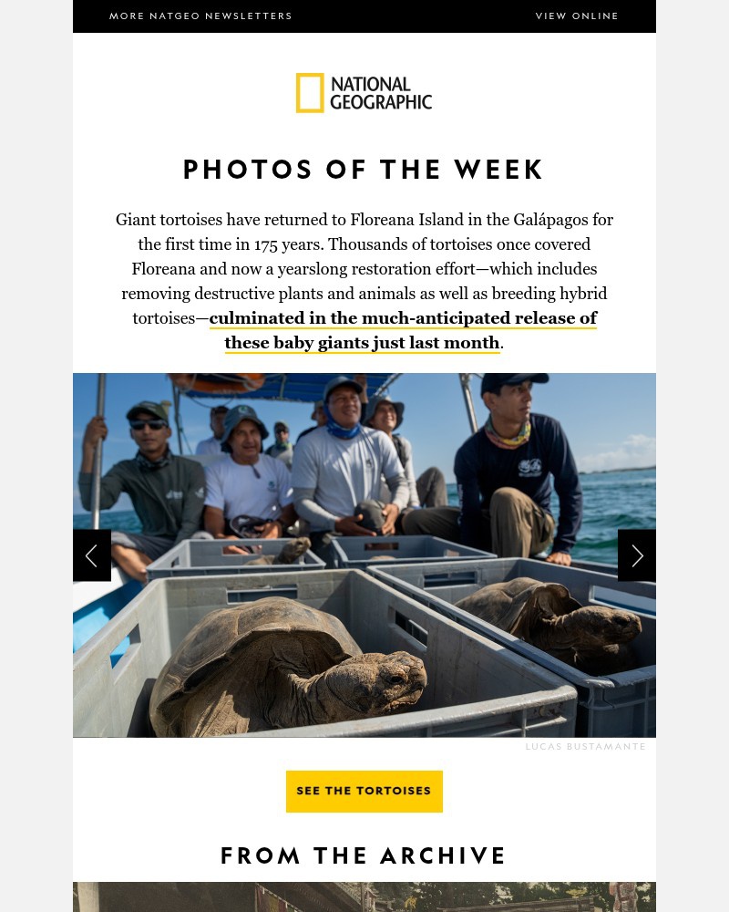 Screenshot of email sent to a National Geographic Newsletter subscriber