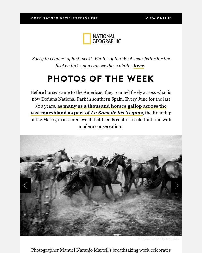 Screenshot of email with subject /media/emails/photos-of-the-week-gorgeous-photos-of-spains-wild-horses-787fca-cropped-54195e2b.jpg