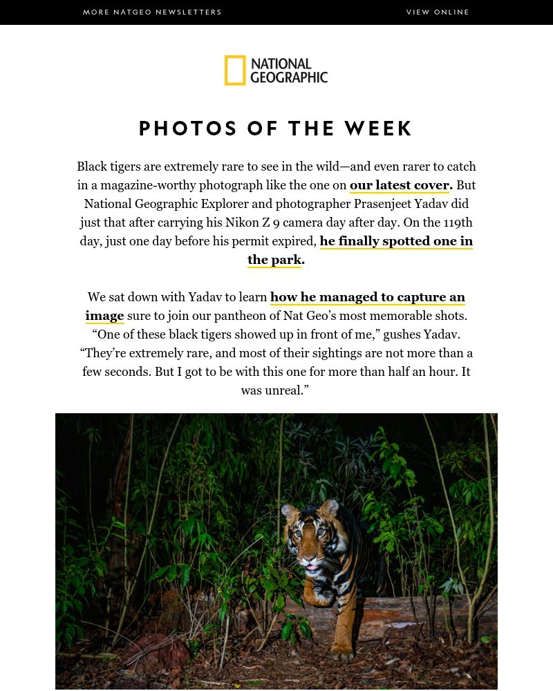 Screenshot of email with subject /media/emails/photos-of-the-week-how-to-photograph-extremely-rare-tigers-39def4-cropped-34a7340e.jpg