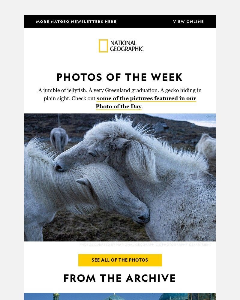 Screenshot of email with subject /media/emails/photos-of-the-week-pictures-that-wowed-nat-geos-photo-editors-this-month-8baa80-c_wVMx7bd.jpg