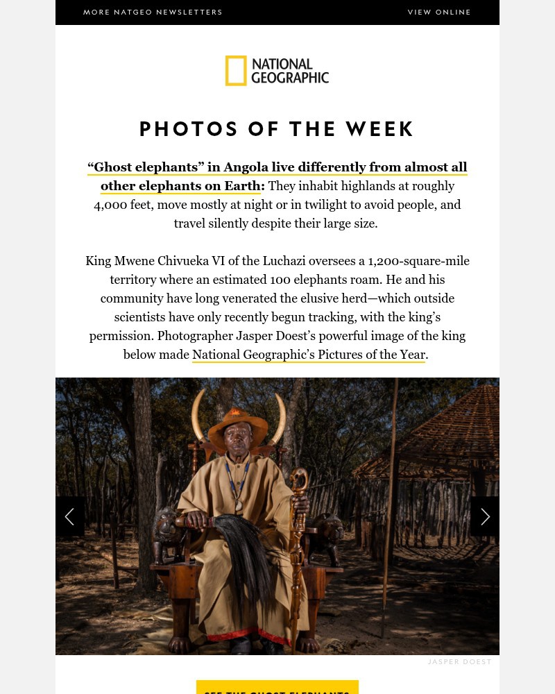 Screenshot of email with subject /media/emails/photos-of-the-week-searching-for-africas-ghost-elephants-e561ad-cropped-a4e35f2b.jpg