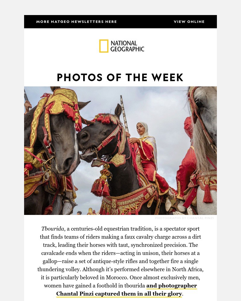 Screenshot of email with subject /media/emails/photos-of-the-week-the-fearless-charge-of-moroccos-horsewomen-6a4f44-cropped-c1e12f5d.jpg