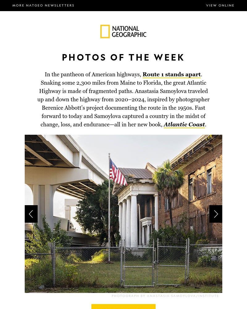 Screenshot of email sent to a National Geographic Newsletter subscriber