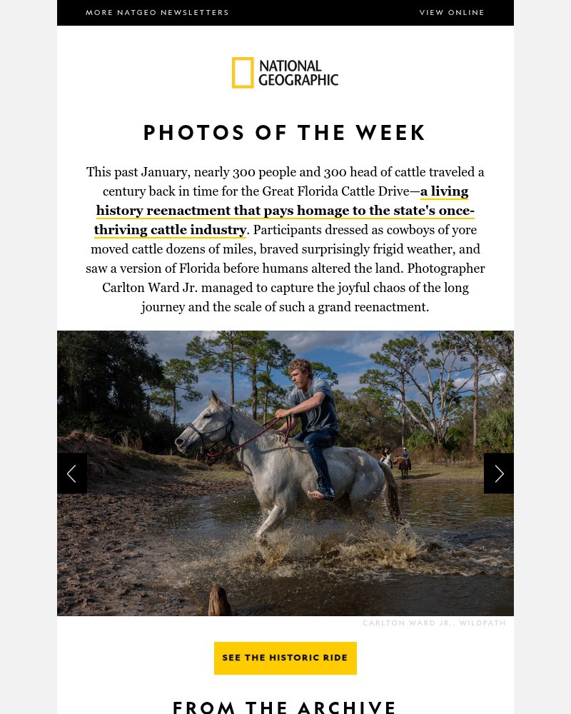 Screenshot of email with subject /media/emails/photos-of-the-week-the-return-of-floridas-cowboys-c96a8a-cropped-ecc12725.jpg