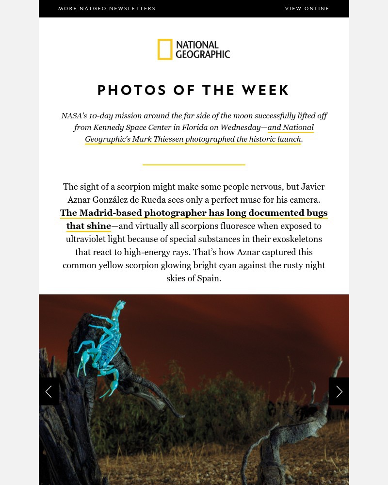 Screenshot of email with subject /media/emails/photos-of-the-week-the-tiny-creatures-that-glow-in-the-dark-ca1076-cropped-5e7808ab.jpg