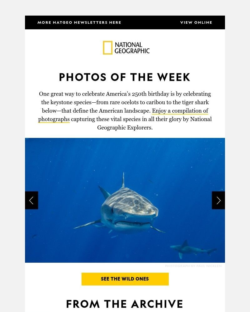 Screenshot of email with subject /media/emails/photos-of-the-week-the-wild-icons-that-define-the-american-landscape-26a983-cropp_ZZEldaH.jpg