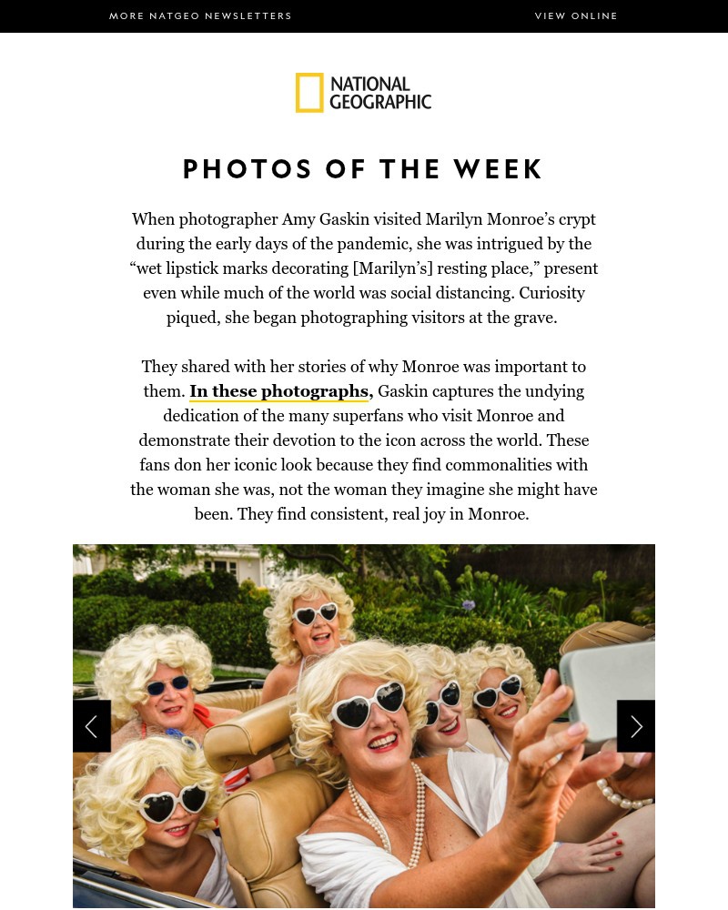Screenshot of email with subject /media/emails/photos-of-the-week-the-wild-world-of-marilyn-monroe-superfans-e00b18-cropped-2faf570f.jpg