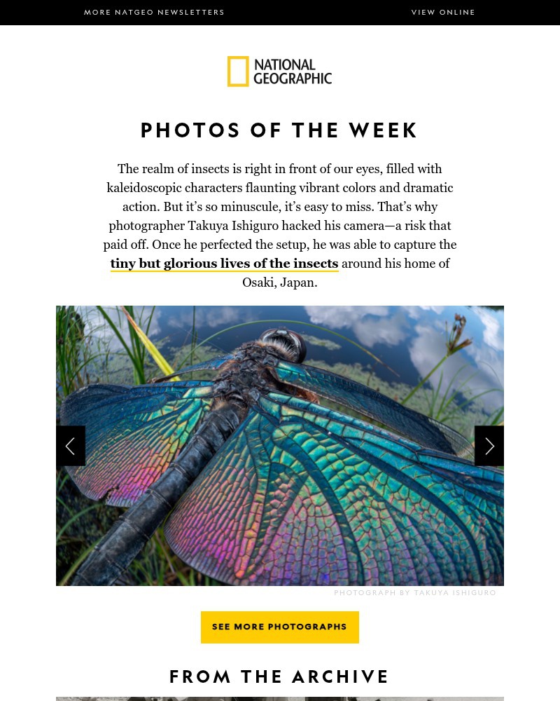 Screenshot of email with subject /media/emails/photos-of-the-week-the-world-from-a-bugs-eyes-070ed6-cropped-092b3c74.jpg