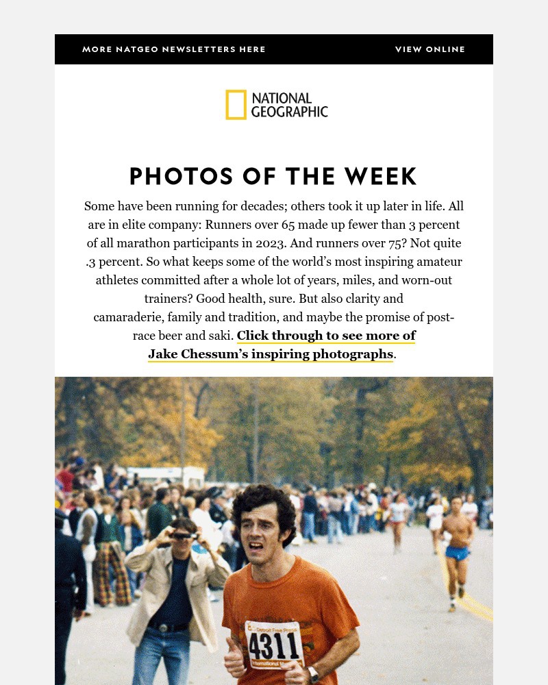 Screenshot of email sent to a National Geographic Newsletter subscriber