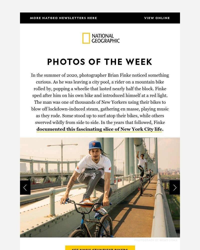 Screenshot of email sent to a National Geographic Newsletter subscriber