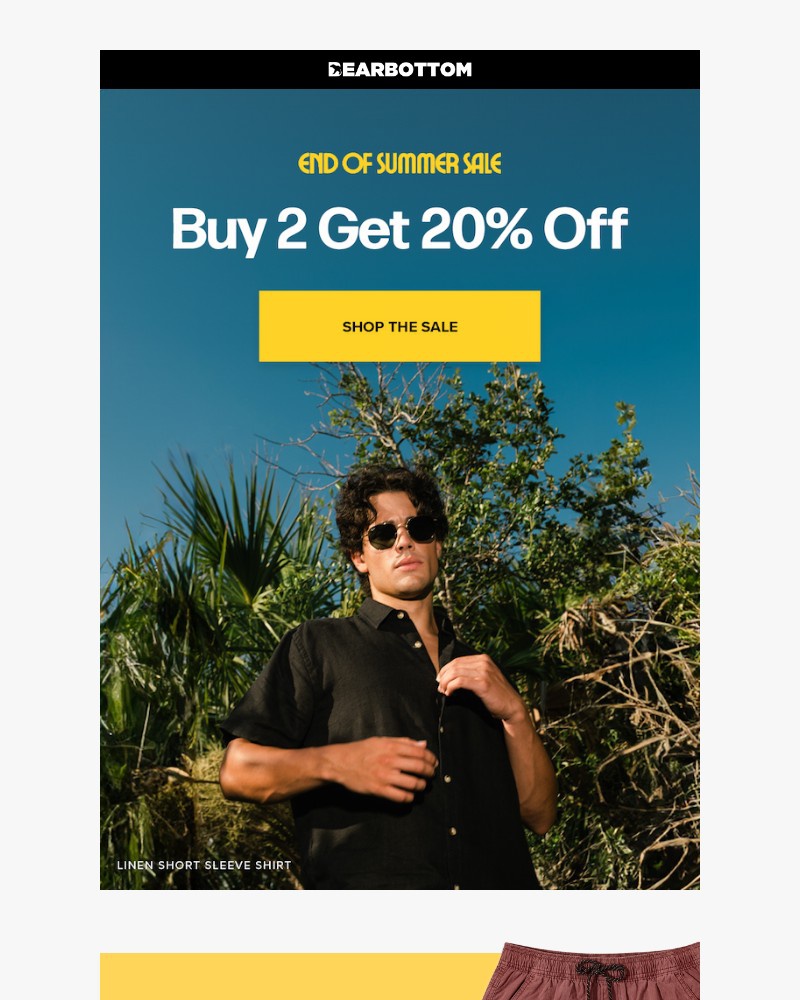 Screenshot of email with subject /media/emails/pick-2-get-20-off-fdeafe-cropped-0a6a7458.jpg