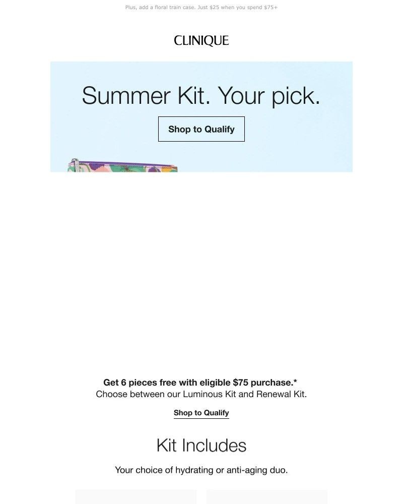 Screenshot of email with subject /media/emails/pick-your-6pc-summer-kit-free-with-75-order-dc9900-cropped-34222aec.jpg