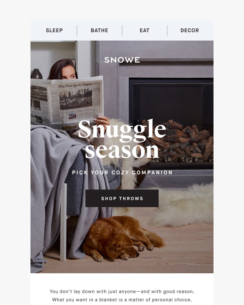 Screenshot of email with subject /media/emails/pick-your-cozy-companion-c89934-cropped-675c2ad3.jpg