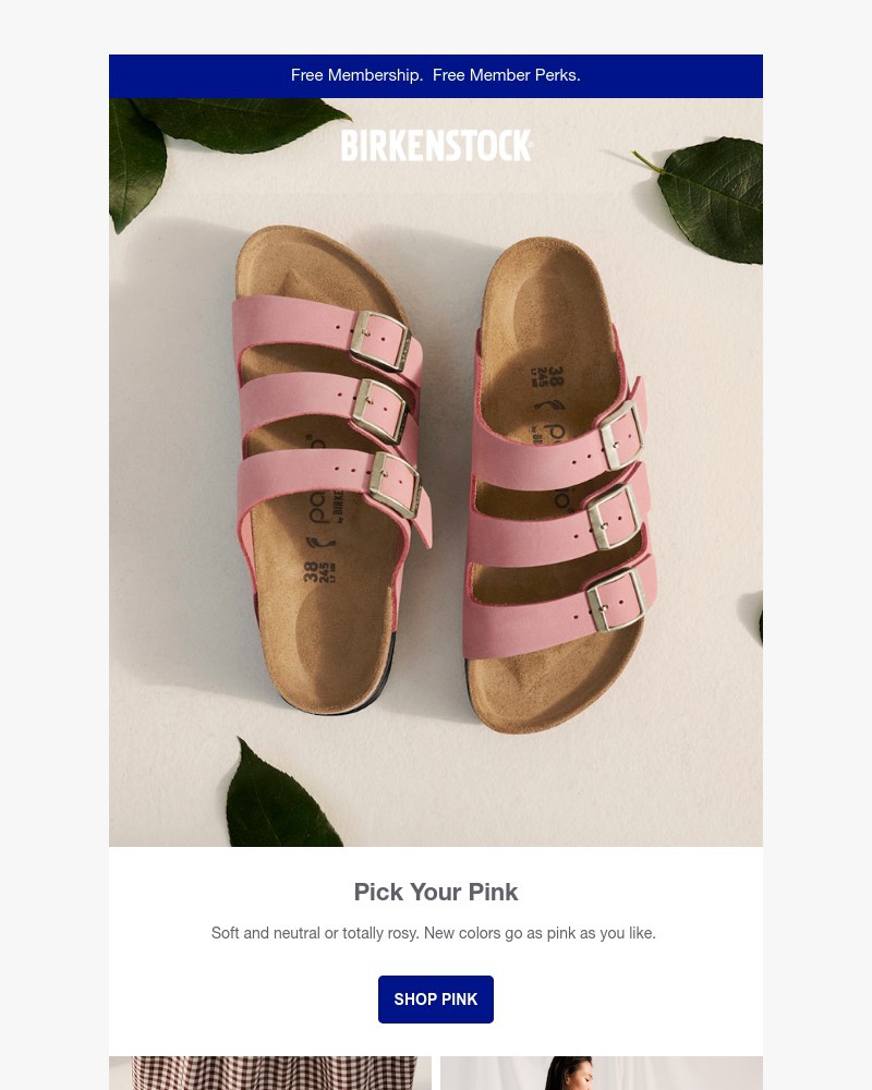 Screenshot of email with subject /media/emails/pick-your-pink-soft-and-neutral-to-totally-rosy-981734-cropped-1045e77c.jpg