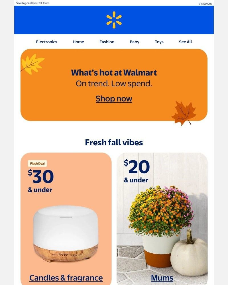 Screenshot of email with subject /media/emails/picks-as-popular-as-pumpkin-spice-32fa5c-cropped-545d13b9.jpg