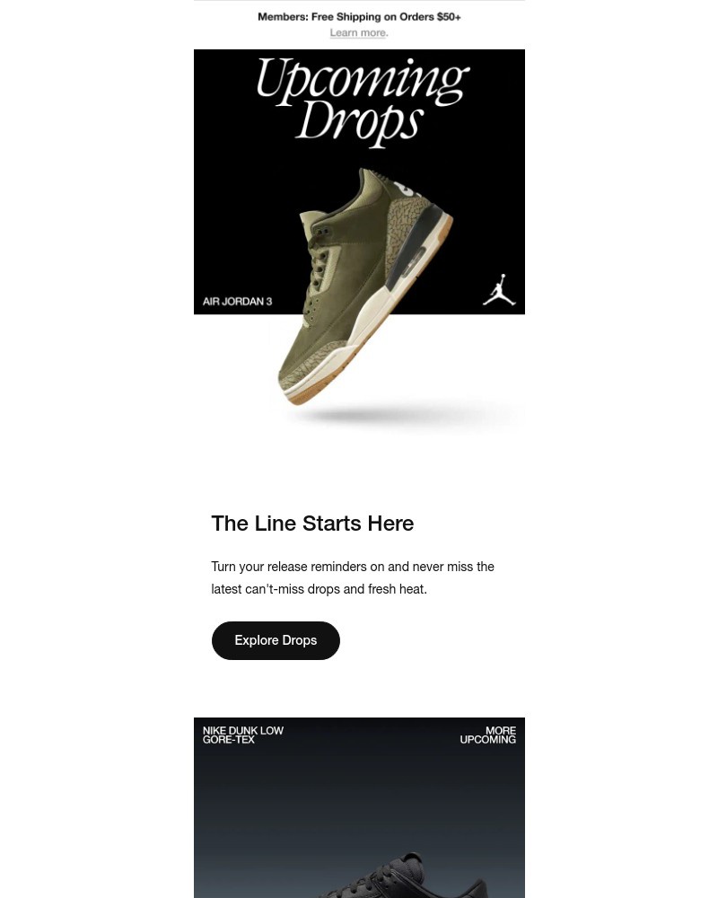 Screenshot of email with subject /media/emails/picks-fresh-out-of-the-forest-b9608f-cropped-9c1a8881.jpg