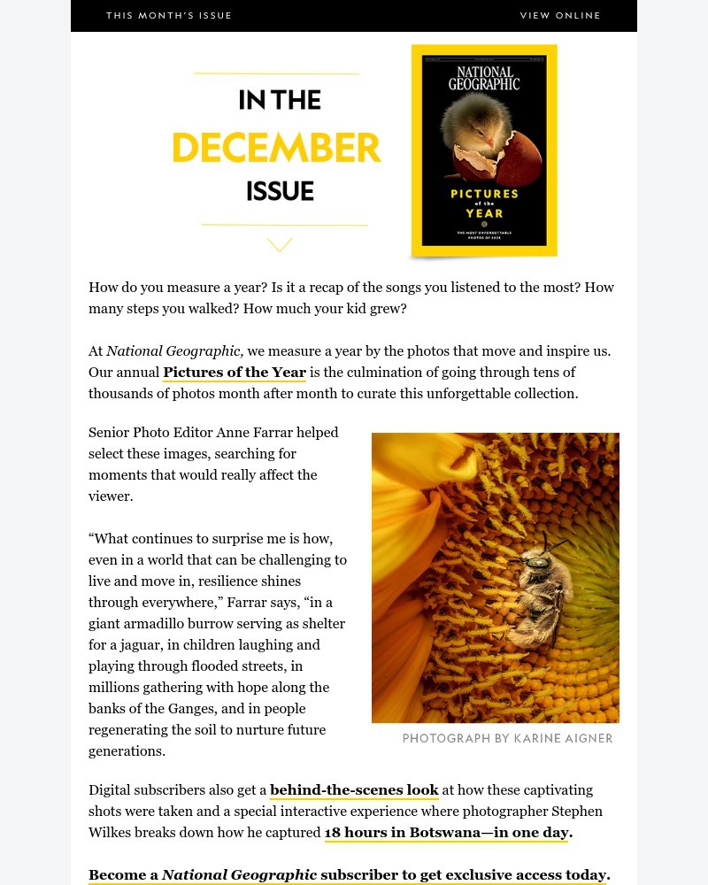 Screenshot of email with subject /media/emails/pictures-of-the-year-the-most-inspiring-photos-of-2025-02eddc-cropped-ff9e1030.jpg