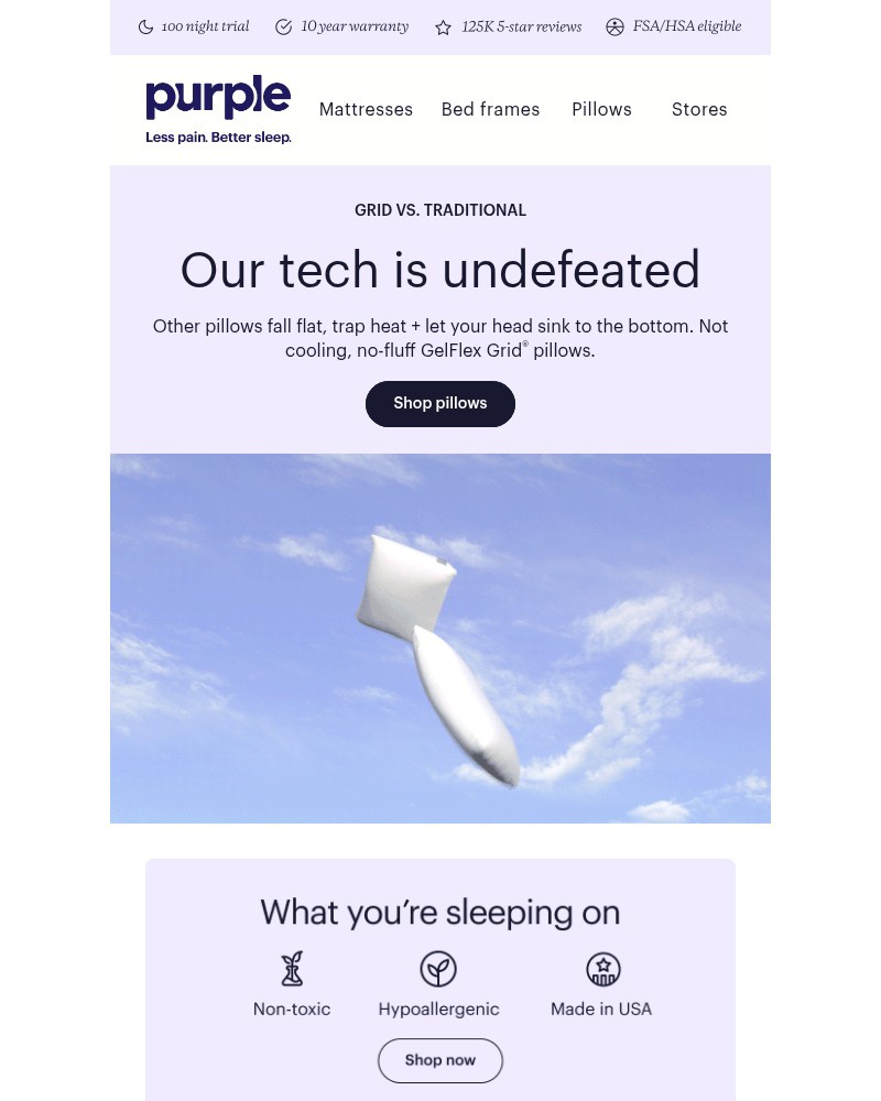 Screenshot of email with subject /media/emails/pillow-fight-grid-vs-traditional-83de48-cropped-d0281710.jpg
