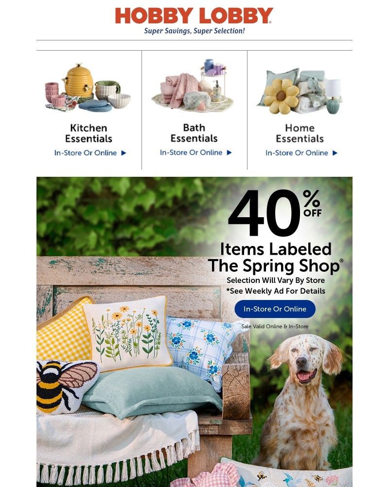 Screenshot of email sent to a Hobby Lobby Newsletter subscriber