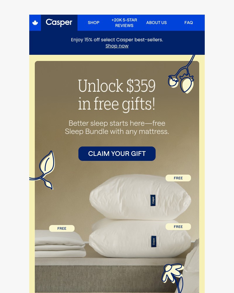 Screenshot of email with subject /media/emails/pillows-a-mattress-protector-for-free-yes-please-6f087b-cropped-821071bf.jpg