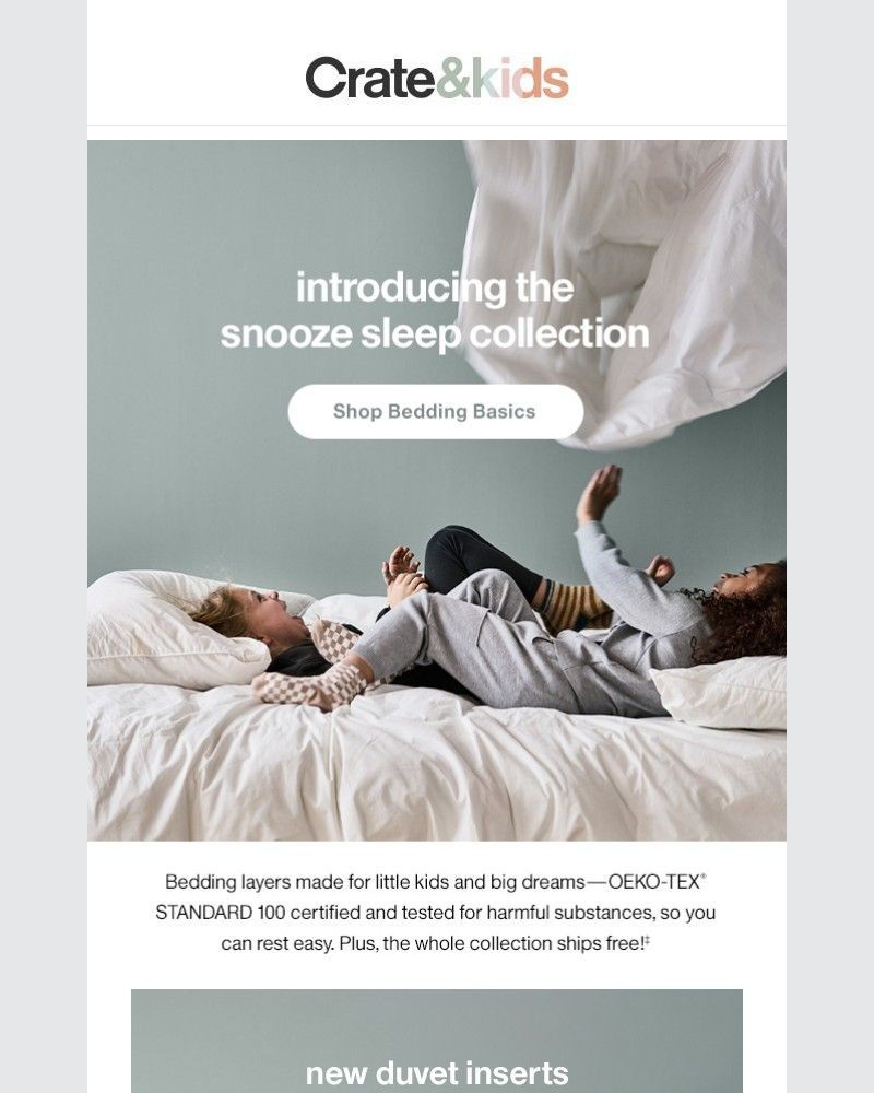 Screenshot of email with subject /media/emails/pillows-duvets-more-new-bedding-basics-26e5a1-cropped-9f830f78.jpg