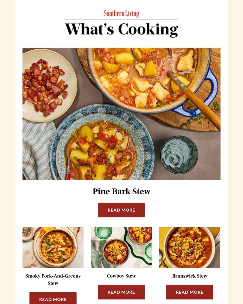 Screenshot of email with subject /media/emails/pine-bark-stew-30b5aa-cropped-0853502b.jpg