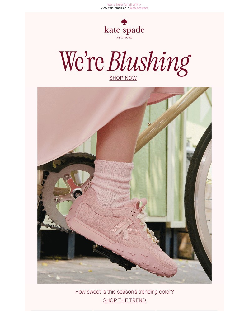 Screenshot of email with subject /media/emails/pink-bags-pink-shoes-pink-charms-17bdad-cropped-f0f06733.jpg