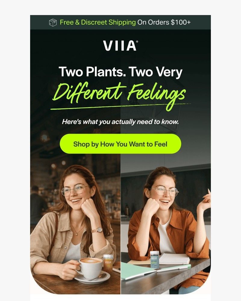 Screenshot of email with subject /media/emails/plant-based-wellness-101-bb8962-cropped-ff540872.jpg