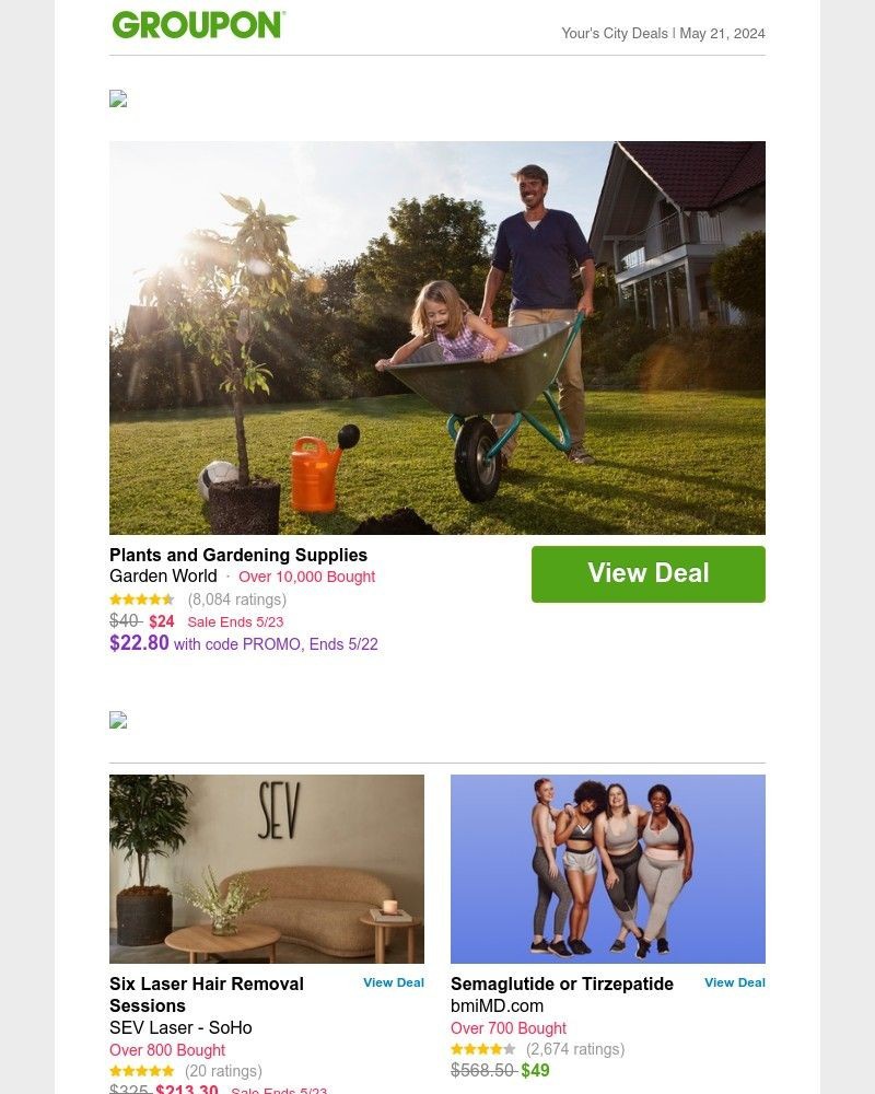 Screenshot of email with subject /media/emails/plants-and-gardening-supplies-ce554b-cropped-c61ddb44.jpg