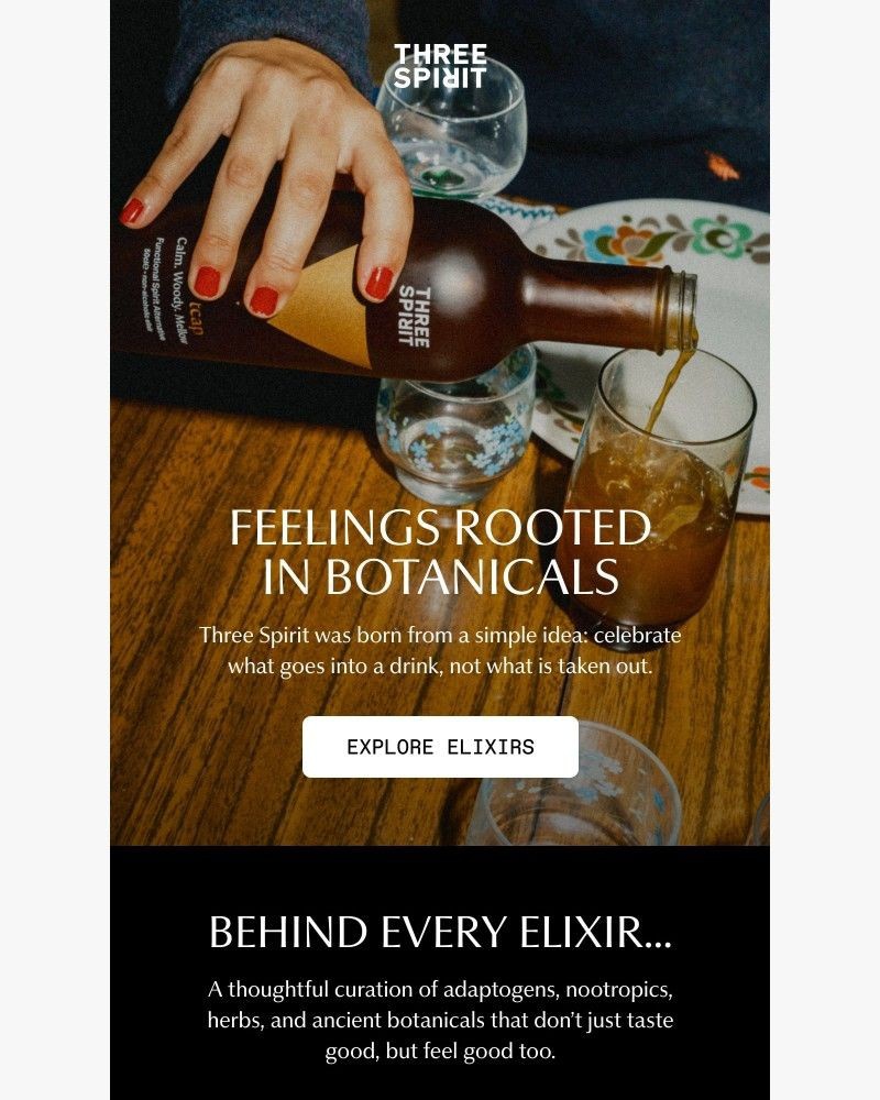 Screenshot of email sent to a Three Spirit Newsletter subscriber
