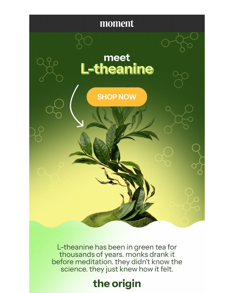 Screenshot of email sent to a Moment Newsletter subscriber