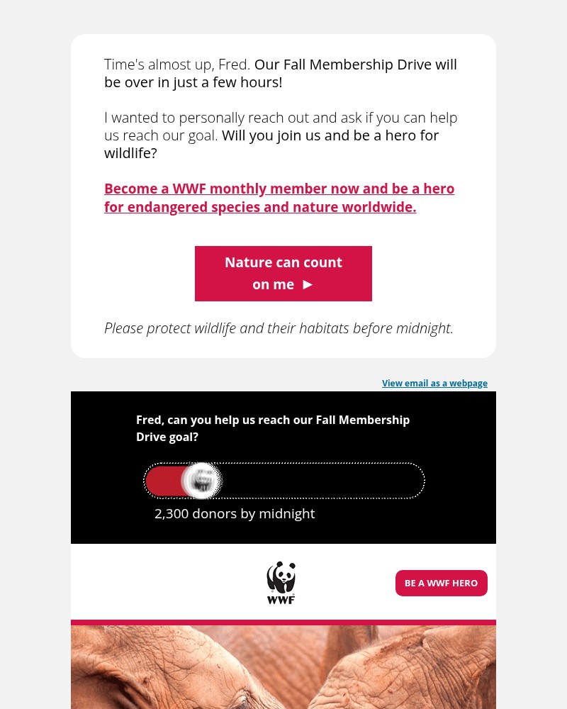 Screenshot of email with subject /media/emails/please-hurry-for-the-love-of-wildlife-143cb9-cropped-2eeb1610.jpg