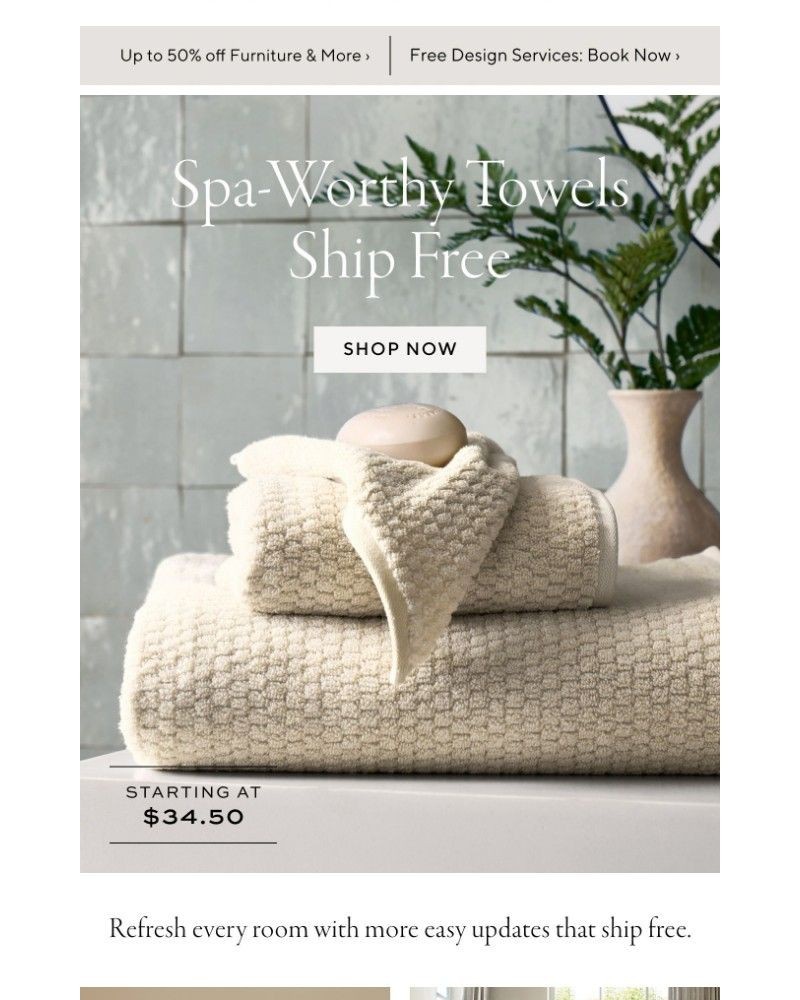 Screenshot of email with subject /media/emails/plush-new-towels-ship-free-1d8ead-cropped-c0d14b37.jpg