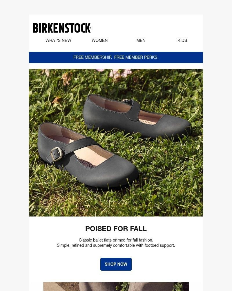 Screenshot of email with subject /media/emails/poised-for-fall-new-ballet-flats-are-in-4723d2-cropped-9aea66e1.jpg
