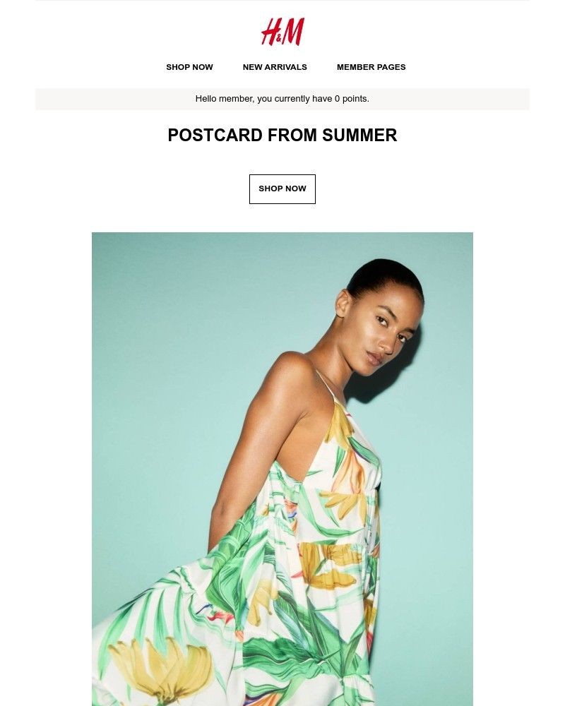 Screenshot of email with subject /media/emails/postcard-from-summer-e25f53-cropped-f698340e.jpg