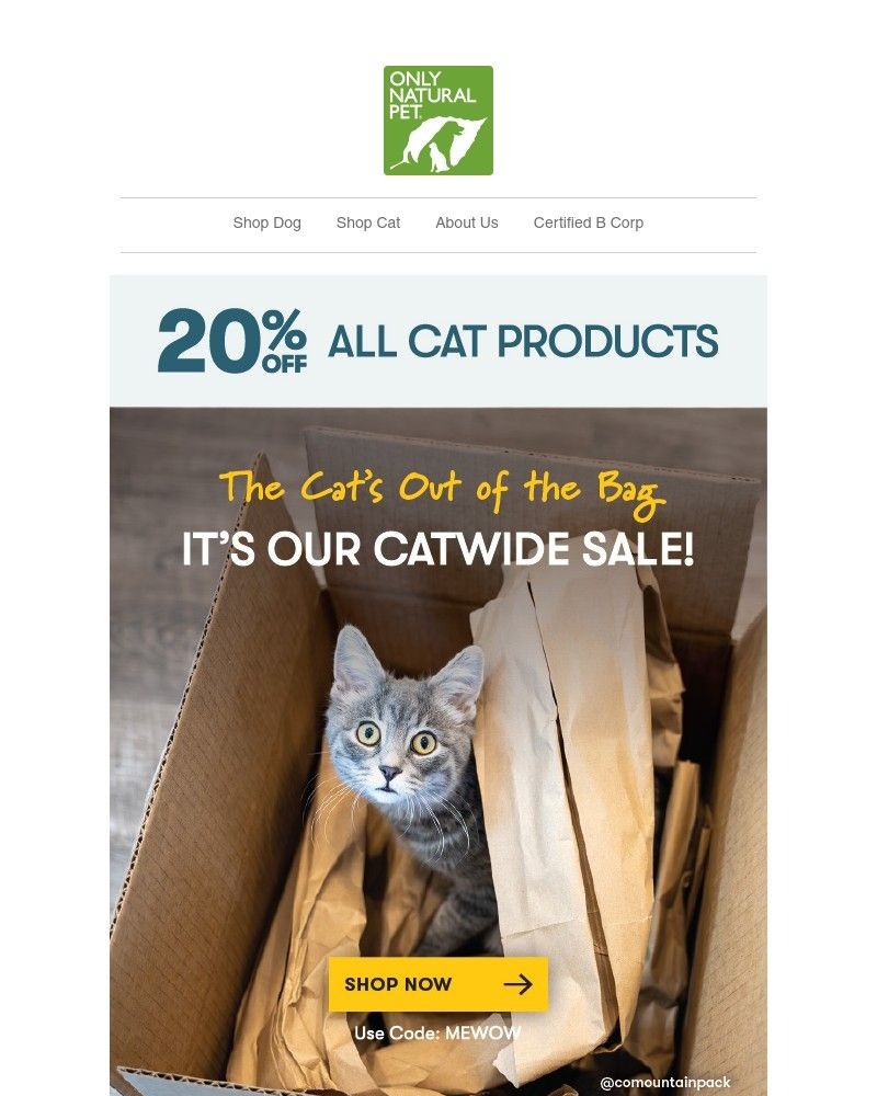 Screenshot of email with subject /media/emails/pounce-on-20-off-all-cat-products-f5779b-cropped-2002550d.jpg